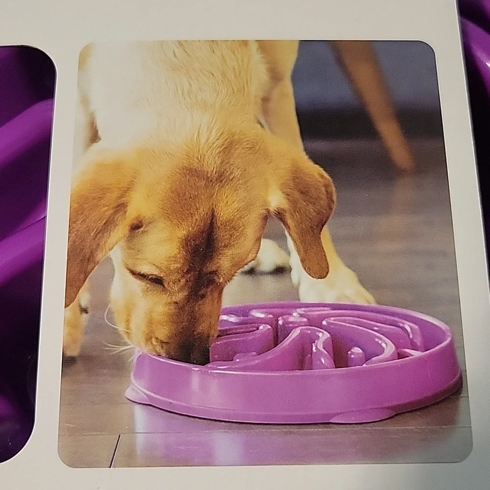 Slow Dog feeder bowl